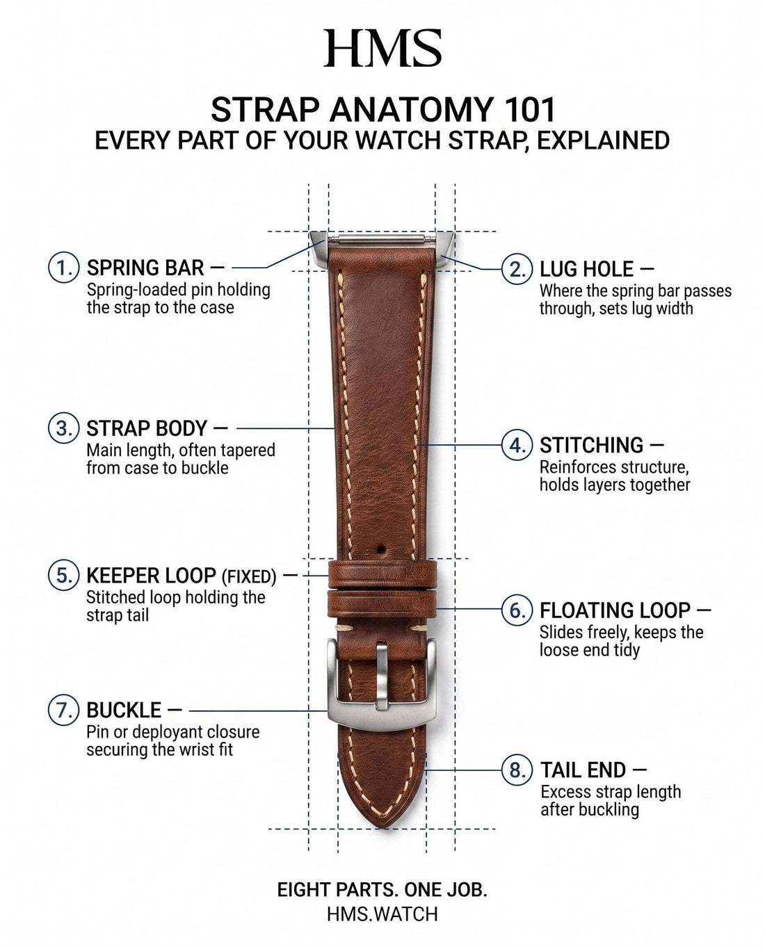 Anatomy of a Watch Strap: Every Part, Explained